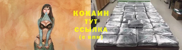 ешки Белокуриха
