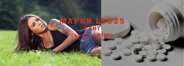 прущий лед Богородицк
