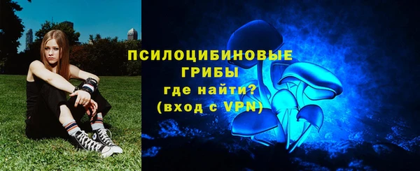 стафф Богородск