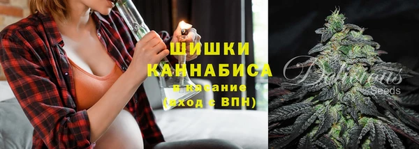 прущий лед Богородицк