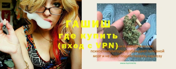 дживик Бородино