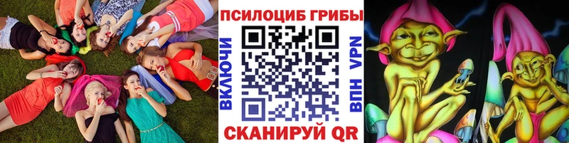 что такое   Губкинский  Галлюциногенные грибы Psilocybe 